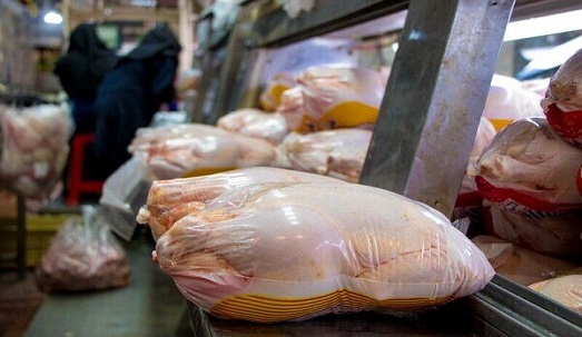 عرضه بیش از ۲۶۹ تن مرغ در کشتارگاه های آذربایجان غربی